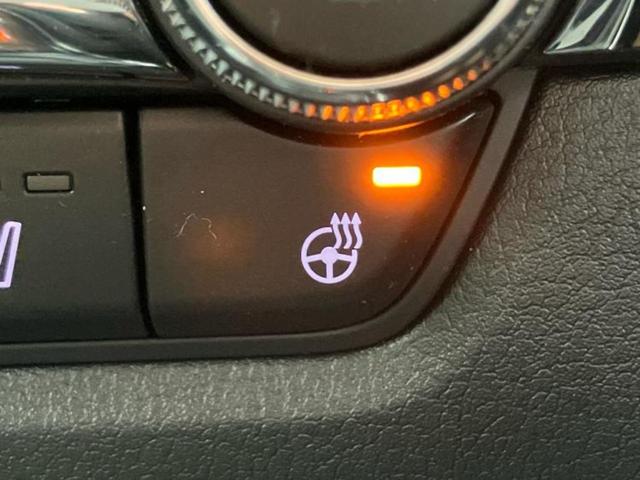 ＣＸ－３０ ＸＤプロアクティブツーリングセレクション　保証書／純正　ＳＤナビ／アイアクティブセンス（マツダ）／シートヒーター　前席／３６０°ビューモニター／車線逸脱防止支援システム／電動バックドア／ドライブレコーダー　前後／ヘッドランプ　ＬＥＤ　ドラレコ（39枚目）