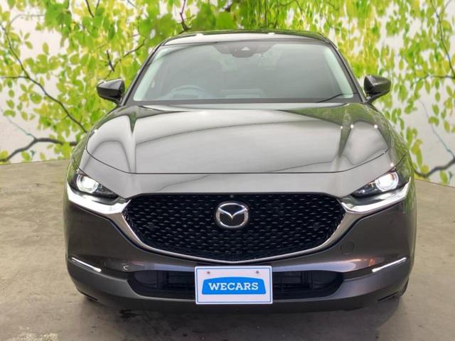 ＣＸ－３０ ＸＤプロアクティブツーリングセレクション　保証書／純正　ＳＤナビ／アイアクティブセンス（マツダ）／シートヒーター　前席／３６０°ビューモニター／車線逸脱防止支援システム／電動バックドア／ドライブレコーダー　前後／ヘッドランプ　ＬＥＤ　ドラレコ（48枚目）