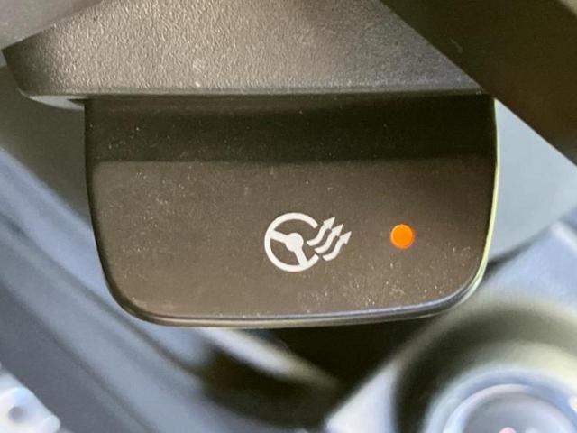 フォレスター ４ＷＤアドバンス　保証書／純正　メモリーナビ／アイサイト／シートヒーター　前席／車線逸脱防止支援システム／シート　ハーフレザー／ドライブレコーダー　社外／ヘッドランプ　ＬＥＤ／Ｂｌｕｅｔｏｏｔｈ接続／ＥＴＣ／ＡＢＳ（28枚目）