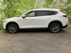 �ףţã��ңӤκ߸˥ڡ������������������ˤ��꤬�Ȥ��������ޤ����ףţã��ңӤϡ֤��������פ��åȡ��ˤ����ͤΥ����饤�դ����Ϥǥ��ݡ��Ȥ������ޤ��� 2