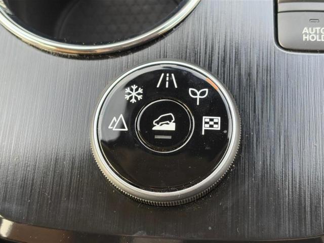 エクストレイル ４ＷＤ　Ｇ　ｅ－４ＯＲＣＥ　サンルーフ／ＢＯＳＥ／保証書／純正　１２．３インチ　メモリーナビ／インテリジェントルームミラー／エマージェンシーブレーキ／シートヒーター　全席／全方位モニター／車線逸脱防止支援システム　革シート（37枚目）