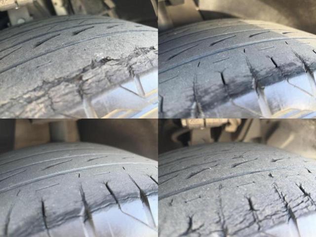 �u���̎Ԃ̎ʐ^�������ƌ������v�u��Ԃ��C�ɂȂ�v�u���̑����͂��Ă���H�v�ǂ�ȏ����ȋ^��ł����C�y�ɂ��₢���킹���������I