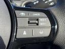ヒョウジュン 保証書/ホンダセンシング/電動スライドドア/シートヒーター 運転席/車線逸脱防止支援システム/ヘッドランプ LED/EBD付ABS/横滑り防止装置/アイドリングストップ/禁煙車/エアバッグ 運転席(31枚目)