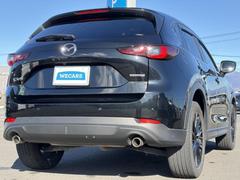 �����Ź�ޤ�Ÿ�����Ƥ���ΤǤɤ��Ǥ⤪���󤻤���ǽ�Ǥ������μ֤����ˤʤ뤱�ɱ��������顦�����������ɬ�פϤ���ޤ��󡪢�����Φ����ɬ�פǤ��� 3