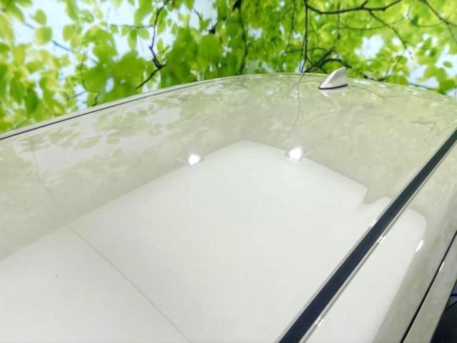 ライズ Ｇ　保証書／ディスプレイオーディオ９インチ／スマートアシスト（トヨタ・ダイハツ）／車線逸脱防止支援システム／パーキングアシスト　バックガイド／ヘッドランプ　ＬＥＤ／ＵＳＢジャック　衝突被害軽減システム（53枚目）