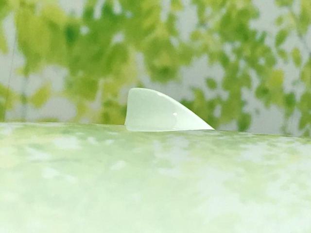 今の愛車いくらで売れるの？他社で査定して思ったより安くてショック・・・そんなお客様！是非一度ＷＥＣＡＲＳの下取価格をご覧ください！お客様ができるだけお得にお乗り換えできるよう精一杯頑張ります！