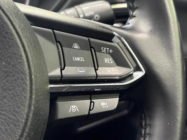 ＣＸ－５ ４ＷＤ　ＸＤプロアクティブ　新品タイヤ／保証書／純正　ＳＤナビ／衝突安全装置／全方位モニター／車線逸脱防止支援システム／電動バックドア／ヘッドランプ　ＬＥＤ／ＵＳＢジャック／Ｂｌｕｅｔｏｏｔｈ接続／ＥＴＣ／ＥＢＤ付ＡＢＳ　４ＷＤ（26枚目）