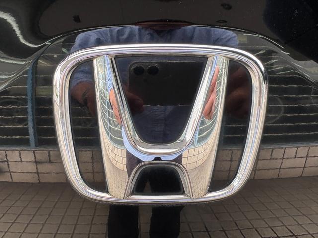 ステップワゴン G HIDエディション /特別仕様車/車検:2年付/両側電動スライドドア/フリップダウンモニター/純正ナビ/バックカメラ/ワンセグ/DVD再生/社外18AW/HID/ETC/AUTOエアコン/タイミングチェーン(41枚目)