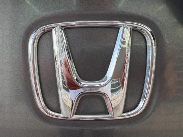 ステップワゴン G L HDDナビパッケージ /後期型/車検:2年付/走行69000km/両側電動スライドドア/フリップダウンモニター/ドライブレコーダー/純正ナビ/バックカメラ/フルセグ/DVD/HIDヘッドライト/ETC/タイミングチェーン(38枚目)