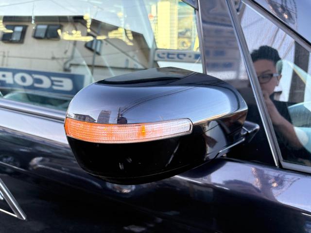 �h�A�~���[�E�C���J�[��