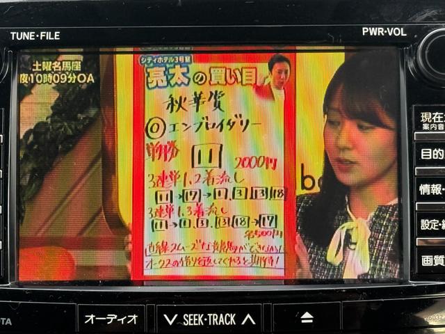 ヴォクシー トランス－Ｘ　バックカメラ　ＥＴＣ　前後ドラレコ　タイヤ交換済　ナビ　ＴＶ（21枚目）