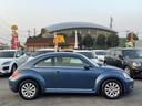 VOLKSWAGEN THE BEETLE