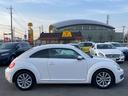 VOLKSWAGEN THE BEETLE