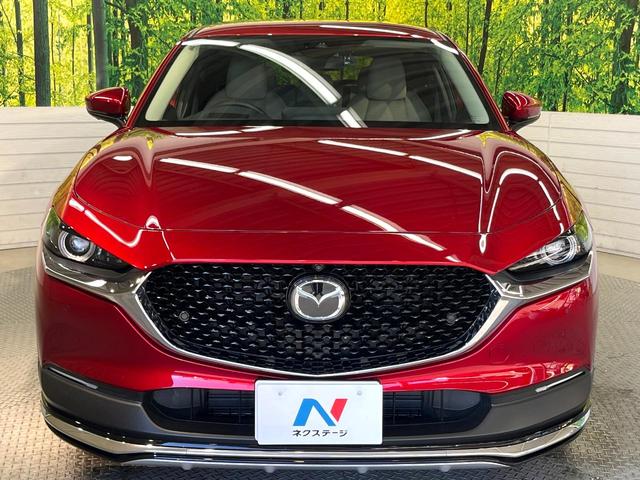 CX-30 XD プロアクティブ ツーリングセレクション ディーゼル 純正8.8型ナビ 360度ビューモニター スマートブレーキサポート レーダークルーズ 禁煙車 寒冷地仕様 パワーバックドア シートヒーター パワーシート ドラレコ レーンキープ ETC(14枚目)