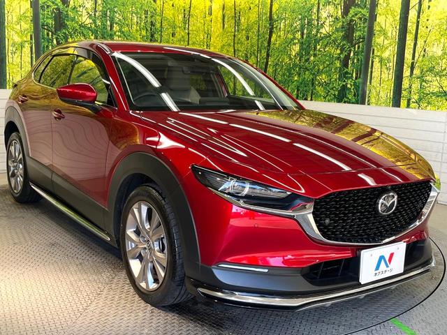 CX-30 XD プロアクティブ ツーリングセレクション ディーゼル 純正8.8型ナビ 360度ビューモニター スマートブレーキサポート レーダークルーズ 禁煙車 寒冷地仕様 パワーバックドア シートヒーター パワーシート ドラレコ レーンキープ ETC(16枚目)