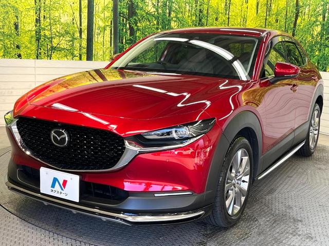 CX-30 XD プロアクティブ ツーリングセレクション ディーゼル 純正8.8型ナビ 360度ビューモニター スマートブレーキサポート レーダークルーズ 禁煙車 寒冷地仕様 パワーバックドア シートヒーター パワーシート ドラレコ レーンキープ ETC(27枚目)