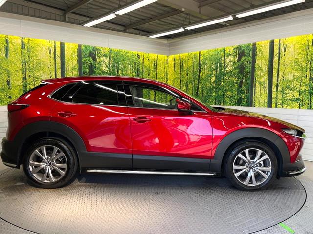 CX-30 XD プロアクティブ ツーリングセレクション ディーゼル 純正8.8型ナビ 360度ビューモニター スマートブレーキサポート レーダークルーズ 禁煙車 寒冷地仕様 パワーバックドア シートヒーター パワーシート ドラレコ レーンキープ ETC(29枚目)