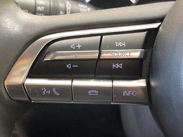 CX-30 XD プロアクティブ ツーリングセレクション ディーゼル 純正8.8型ナビ 360度ビューモニター スマートブレーキサポート レーダークルーズ 禁煙車 寒冷地仕様 パワーバックドア シートヒーター パワーシート ドラレコ レーンキープ ETC(36枚目)