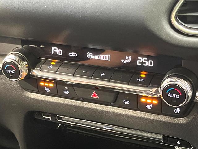 CX-30 XD プロアクティブ ツーリングセレクション ディーゼル 純正8.8型ナビ 360度ビューモニター スマートブレーキサポート レーダークルーズ 禁煙車 寒冷地仕様 パワーバックドア シートヒーター パワーシート ドラレコ レーンキープ ETC(47枚目)