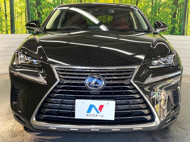 NX NX300h バージョンL サンルーフ 純正10型ナビ バックカメラ ブラインドスポットモニター カラーヘッドアップディスプレイ セーフティシステムプラス レーダークルーズ 禁煙車 ハンズフリーパワーバックドア 本革シート(14枚目)