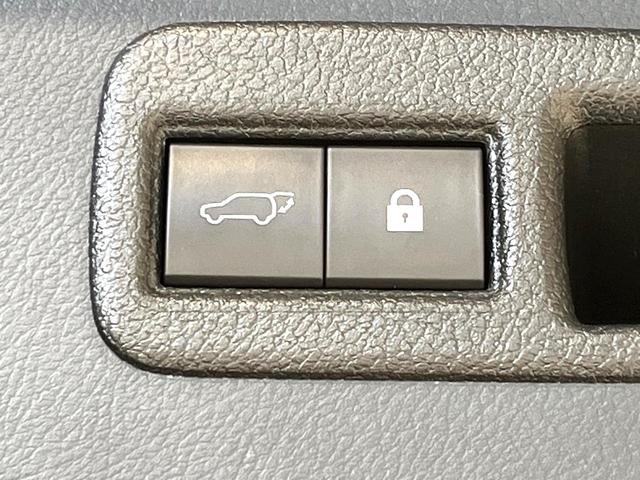 NX NX300h バージョンL サンルーフ 純正10型ナビ バックカメラ ブラインドスポットモニター カラーヘッドアップディスプレイ セーフティシステムプラス レーダークルーズ 禁煙車 ハンズフリーパワーバックドア 本革シート(51枚目)