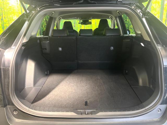 RAV4 アドベンチャー 4WD 純正10.5型ナビ バックカメラ 寒冷地仕様 トヨタセーフティセンス レーダークルーズ 禁煙車 合皮シート シートエアコン ヒーター 運転席パワーシート ドラレコ レーンキープ スマートキー(35枚目)