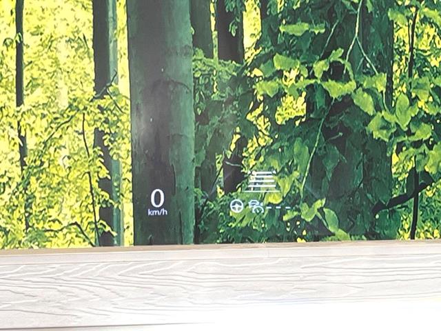 ＣＸ－６０ ＸＤ－ハイブリッド　エクスクルーシブモダン　４ＷＤ　ディーゼル　純正１２型ナビ　３６０度ビューモニター　ドライバーパーソナライゼーションシステムパッケージ　寒冷地仕様　スマートブレーキサポート　レーダークルーズ　禁煙車　パワーバックドア（56枚目）