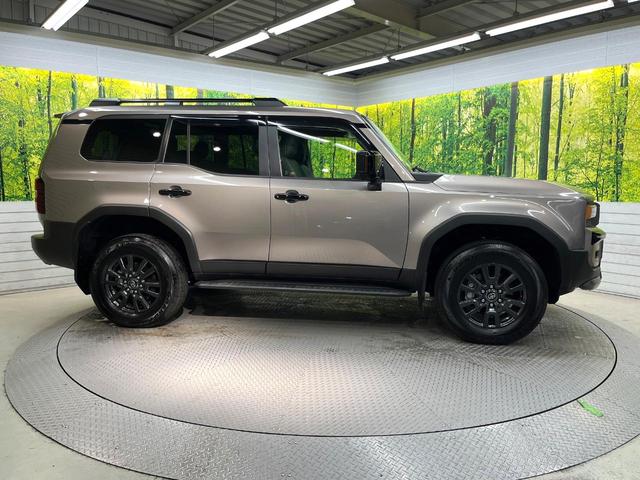 ランドクルーザー２５０ ＶＸ　４ＷＤ　７人乗　ムーンルーフ　純正１２型ナビ　セーフティセンス　レーダークルーズ　パノラミックビューモニター　寒冷地仕様　禁煙車　パワーバックドア　革シート　パワーシート　シートエアコン　スマートキー（29枚目）