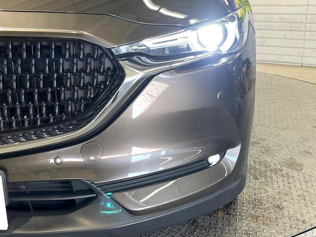 �y�k�d�c�w�b�h���C�g�z���V����ԑ��s�����ǍD�Ȏ��E���m�ۂ����S���ĉ^�]�ł��鍂�P�x�k�d�c�w�b�h���C�g�𑕔��I�_�����x�������A����d�͂��}�����Ă��܂��B