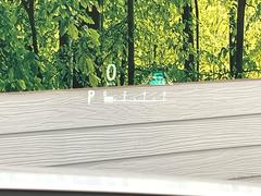 ڥ顼إåɥåץǥץ쥤۸ߤ®٤ԾǥɽǱžΥ饹ơ顼դǻǧ⤯ž򤺤餵ɬפʾǧǤΤǤȤäƤǰ¿ 7