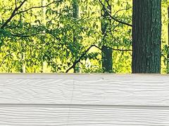 ڥإåɥåץǥץ쥤۸ߤ®٤ԾǥɽǱžΥ饹ơž桢򤺤餵ɬפʾǧǤΤǤȤäƤǰ¿ 6