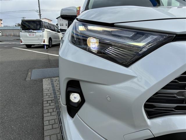 ＲＡＶ４ ハイブリッドＧ　４ＷＤ　メモリーナビ　バックカメラ　衝突被害軽減システム　ＥＴＣ　ドラレコ　ワンオーナー　記録簿（21枚目）