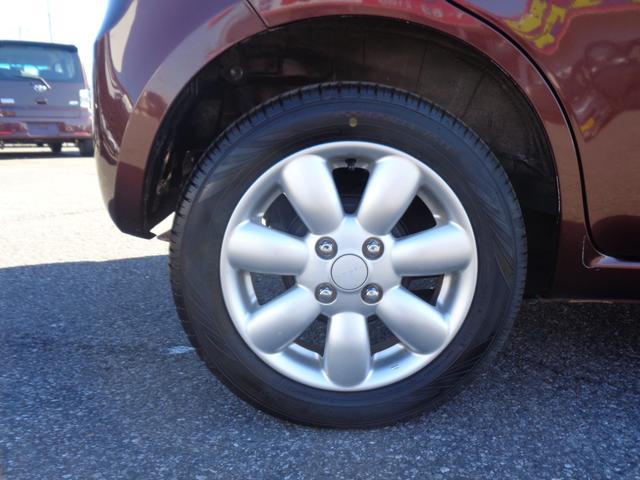 �P�S�C���`�A���~