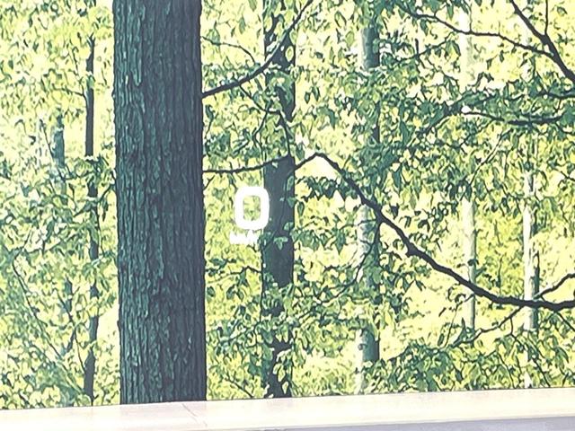 プリウス Aプレミアム ツーリングセレクション 純正SDナビ バックカメラ 衝突被害軽減システム レーダークルーズ レザーシート パワーシート コーナーセンサー スマートキー LEDヘッド ビルトインETC パークアシスト オートエアコン(68枚目)