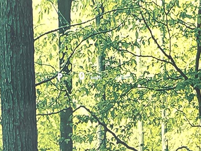 アルファード Z 純正14型DA 13.2型後席モニター 両側電動ドア 全周囲カメラ 衝突軽減装置 100V電源 レーダークルーズ 禁煙車 電動リアゲート レザーシート 前席シートエアコン リアシートエアコン(35枚目)