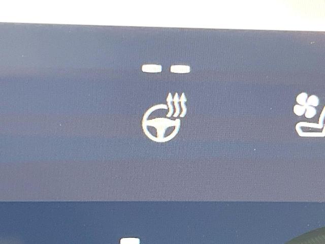 アルファード Z ガラスルーフ 両側電動ドア 後席モニター 全周囲カメラ 衝突被害軽減システム 100V電源 レーダークルーズ 禁煙車 電動リアゲート レザーシート ドラレコ コーナーセンサー スマートキー(57枚目)