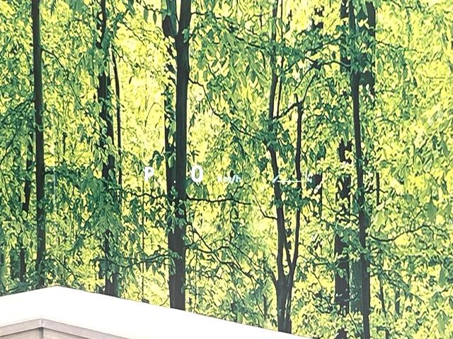 アルファード Z ガラスルーフ 両側電動ドア 後席モニター 全周囲カメラ 衝突被害軽減システム 100V電源 レーダークルーズ 禁煙車 電動リアゲート レザーシート ドラレコ コーナーセンサー スマートキー(74枚目)