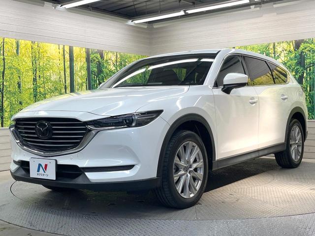 ＣＸ－８ ＸＤプロアクティブ　ディーゼル（軽油）ターボ　マツダコネクトナビ　７人乗り　バックカメラ　衝突被害軽減システム　レーダークルーズ　禁煙車　パワーシート　コーナーセンサー　スマートキー　ＬＥＤヘッド　ＥＴＣ２．０（24枚目）