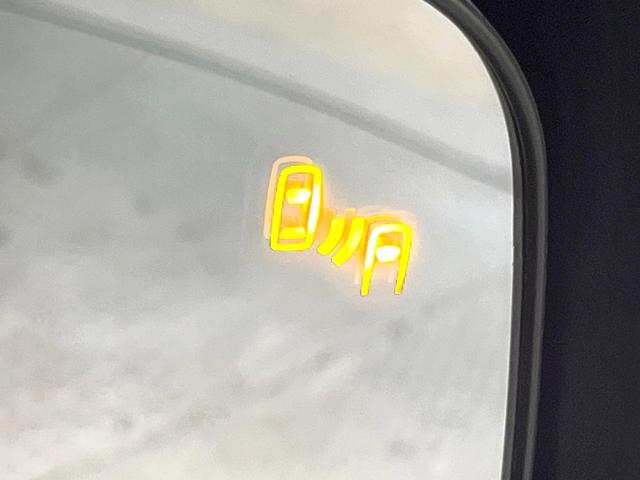 デリカＤ：５ シャモニー　ディーゼル（軽油）　９型フローティングＳＤナビ　電動サイドステップ　両側電動ドア　後席モニター　バックカメラ　衝突軽減装置　レーダークルーズ　禁煙車　電動リアゲート　ハーフレザーシート　パワーシート（35枚目）