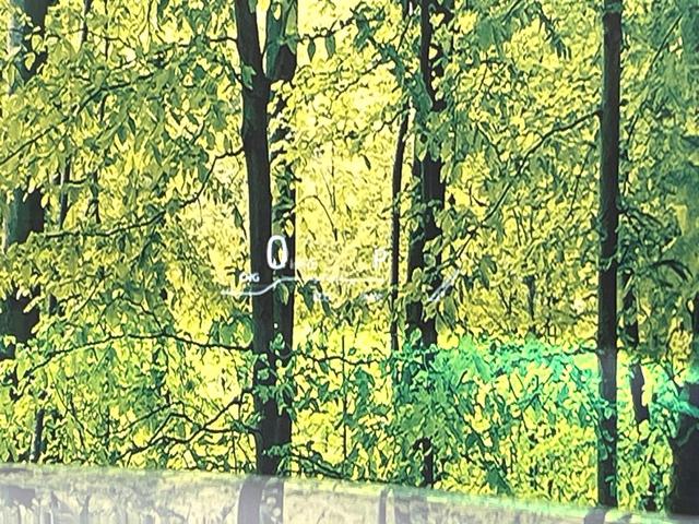 ハリアーハイブリッド Ｚ　レザーパッケージ　純正１２インチディスプレイオーディオ　全周囲カメラカメラ　ＪＢＬサウンド　衝突被害軽減システム　ブラインドスポットモニター　レーダークルーズ　禁煙車　電動リアゲート　革シート　コーナーセンサー（41枚目）