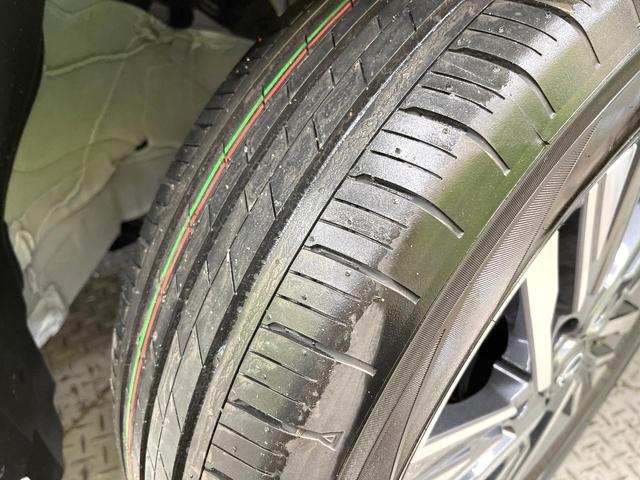 セレナ ハイウェイスターＶ　登録済未使用車　１２．３型メーカーナビ　全周囲カメラ　両側電動ドア　衝突被害軽減システム　レーダークルーズ　コーナーセンサー　スマートキー　ＬＥＤヘッド　フルセグＴＶ　オートライト　オートエアコン（61枚目）