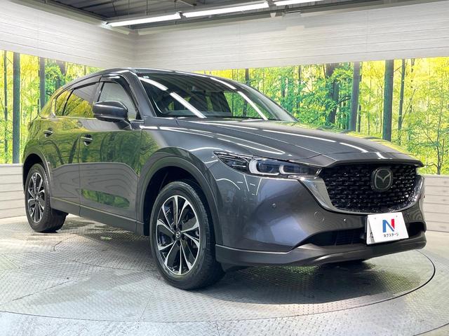 ＣＸ－５ ＸＤ　Ｌパッケージ　１０．２５型メーカーナビ　全周囲カメラ　衝突被害軽減システム　レーダークルーズ　禁煙車　電動リアゲート　レザーシート　コーナーセンサー　スマートキー　ＬＥＤヘッド　ＥＴＣ　純正１９インチアルミ（16枚目）