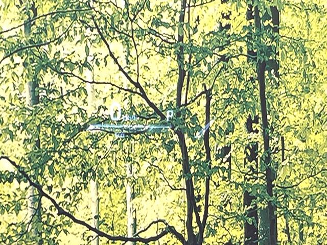 ハリアー Ｚ　モデリスタフルエアロ　純正１２．３型ディスプレイ　全周囲カメラ　ＪＢＬサウンド　衝突軽減装置　レーダークルーズ　禁煙車　電動リアゲート　ハーフレザーシート　パワーシート　コーナーセンサー（42枚目）