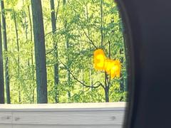 ڥ֥饤ɥݥåȥ˥桢ɥߥ顼λѤˤʤ䤹ս˸³֤᤹ܶȥɥߥ顼Υ󥺤˷ٹɽɥ饤Сմ򤷤Ƥޤ 6