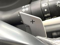 ڥѥɥ륷եȡۥϥɥ뤫Υ᤯եȥåס󤬤ǤΤǡ󥸥֥졼Ȥ®ƻϩιήǲ®̤Ωޤ 6