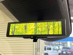 �ڥ���ƥꥸ����ȥ롼��ߥ顼�۸��ʤ��礭�ʲ�ʪ��Ʊ��ԤǸ�������ǧ���Ť餤���Ǥ�¿�������餬���Ƥ�����ξ�����α�����롼��ߥ顼���ɽ�������ꥢ�ʻ볦�Ǿ����γ�ǧ����ǽ�Ǥ��� 6