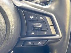 ������®�ɽ���ǽ�ե��롼������ȥ�����۹�®ƻϩ�Ǥ�Ĺ��Υ���Ԥ��ڤˡ�����ư��®�٤��ݤĥ��롼������ȥ����뤬�����ͷڸ������ƥ��Ϣ�Ȥ��������μ�ξ���Τ��Ƽִ֤��ݤĤ褦��®��Ĵ�ᤷ�Ƥ���ޤ����� 6