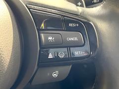 �ڥ����ץƥ��֥��롼������ȥ�����۹�®ƻϩ�Ǥ�Ĺ��Υ���Ԥ��ڤˡ�����ư��®�٤��ݤĥ��롼������ȥ����뤬�����ͷڸ������ƥ��Ϣ�Ȥ��������μ�ξ���Τ��Ƽִ֤��ݤĤ褦��®��Ĵ�ᤷ�Ƥ���ޤ����� 5