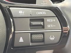 �ڥ����ץƥ��֥��롼������ȥ�����۹�®ƻϩ�Ǥ�Ĺ��Υ���Ԥ��ڤˡ�����ư��®�٤��ݤĥ��롼������ȥ����뤬�����ͷڸ������ƥ��Ϣ�Ȥ��������μ�ξ���Τ��Ƽִ֤��ݤĤ褦��®��Ĵ�ᤷ�Ƥ���ޤ����� 5