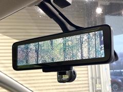 �ڥ���ƥꥸ����ȥ롼��ߥ顼�۸��ʤ��礭�ʲ�ʪ��Ʊ��ԤǸ�������ǧ���Ť餤���Ǥ�¿�������餬���Ƥ�����ξ�����α�����롼��ߥ顼���ɽ�������ꥢ�ʻ볦�Ǿ����γ�ǧ����ǽ�Ǥ��� 5